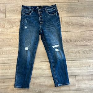 Kut From the Cloth Rachel fab ab mom jean